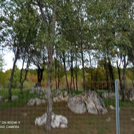 Apartman Deda Rakovica Kültér fotó